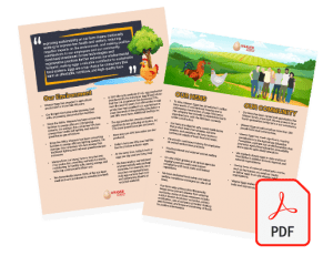 Download & Print Sustainability Fact Sheet