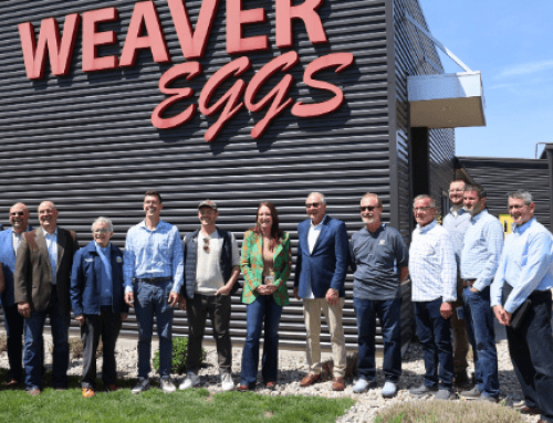 Alex Weaver Details the Importance of Hen Welfare